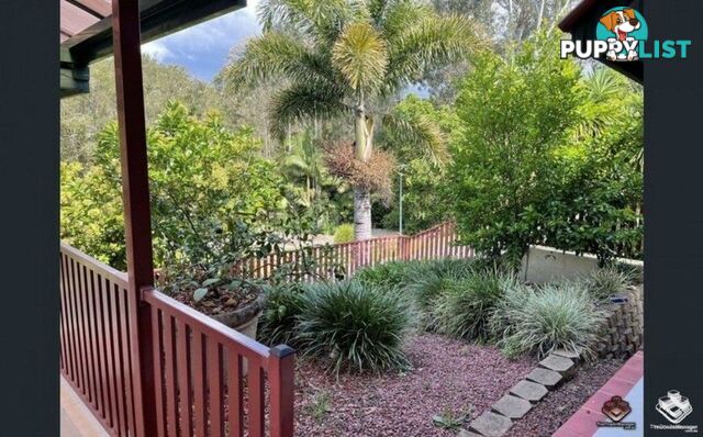 31 Centenial Street Underwood QLD 4119