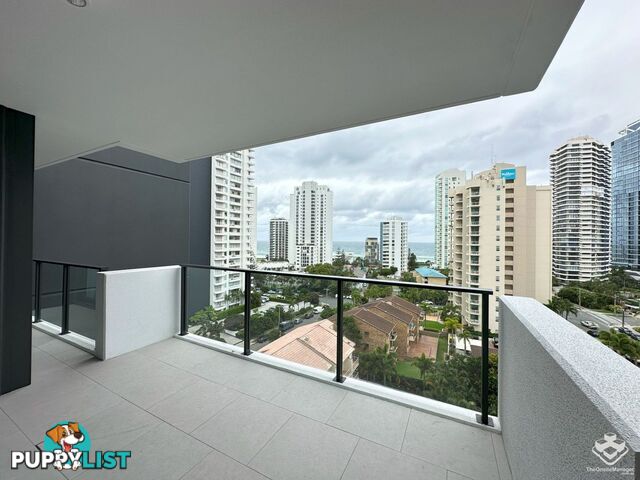 ID:21155457 25 Woodroffe Avenue Main Beach QLD 4217