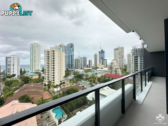 ID:21155457 25 Woodroffe Avenue Main Beach QLD 4217
