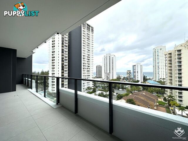 ID:21155457 25 Woodroffe Avenue Main Beach QLD 4217
