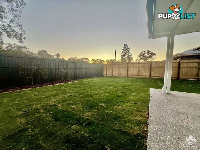 66 Loupos Street Pallara QLD 4110
