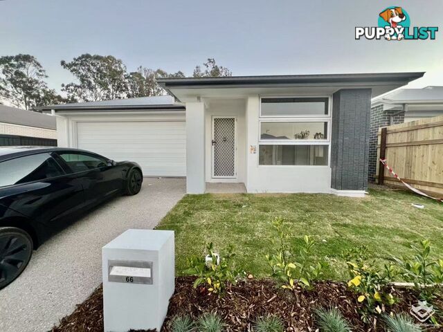 66 Loupos Street Pallara QLD 4110