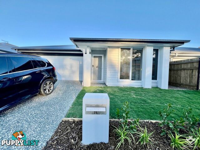 75 Loupos Street Pallara QLD 4110