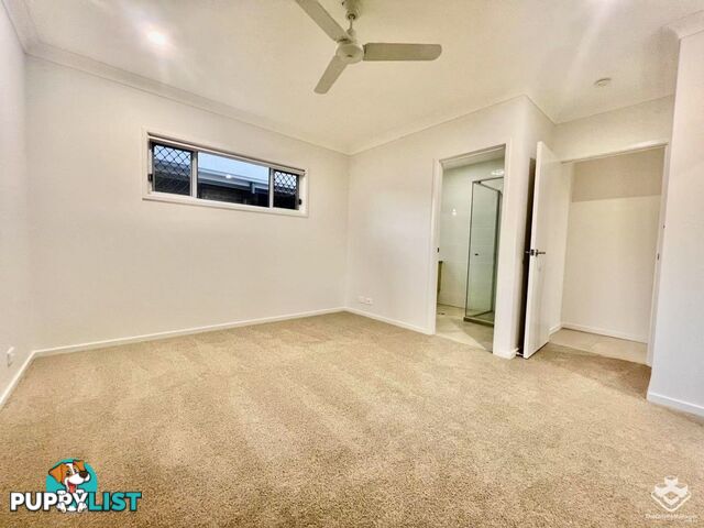 66 Loupos Street Pallara QLD 4110