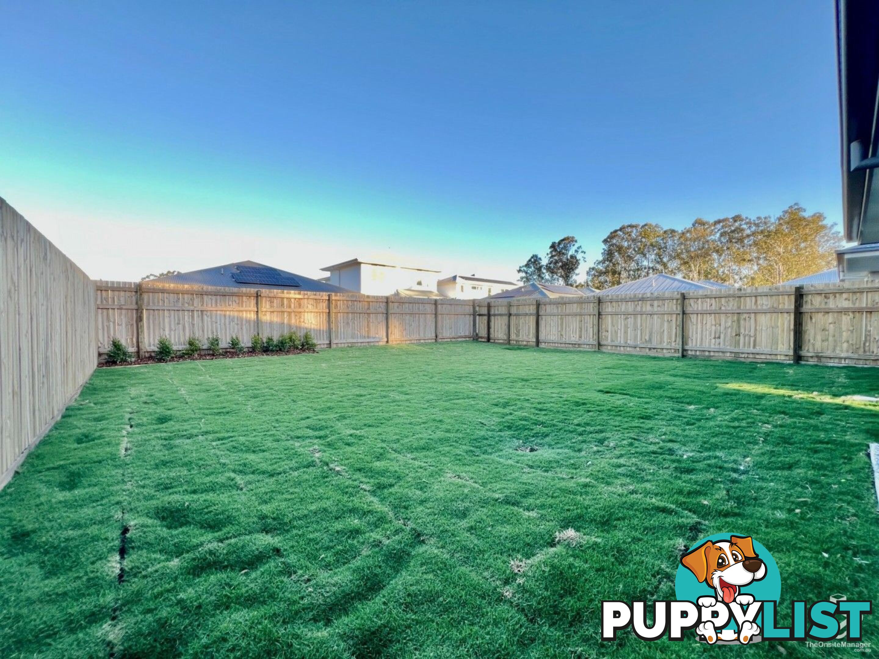 75 Loupos Street Pallara QLD 4110