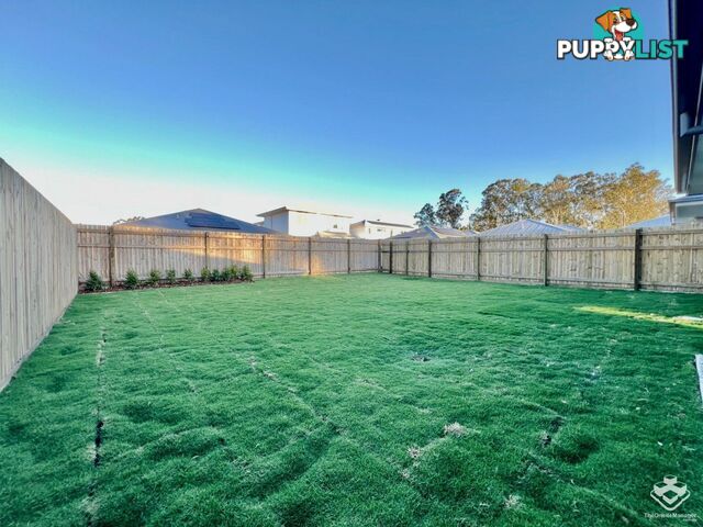 75 Loupos Street Pallara QLD 4110