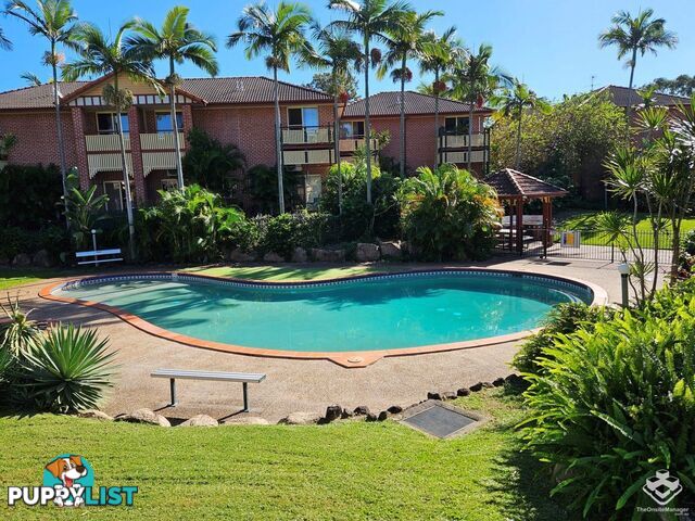 ID:21134922/100 Racecourse Drive Bundall QLD 4217