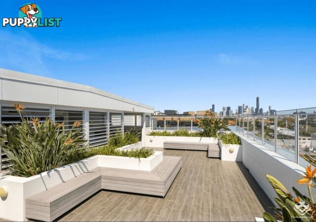 314/113 Commercial Road Teneriffe QLD 4005