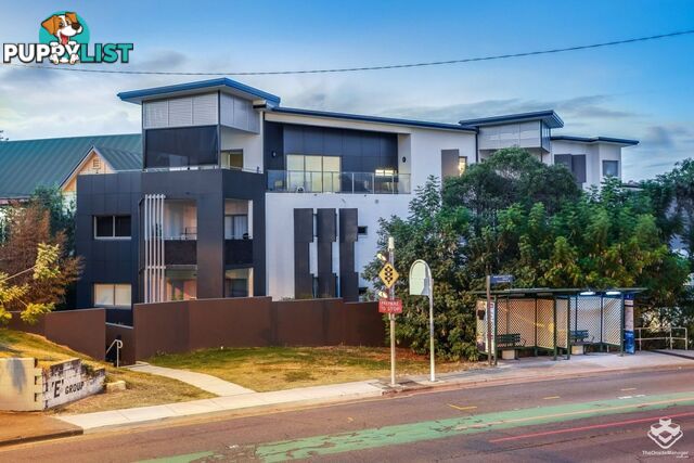 ID:21154519 14 Montrose Road Taringa QLD 4068