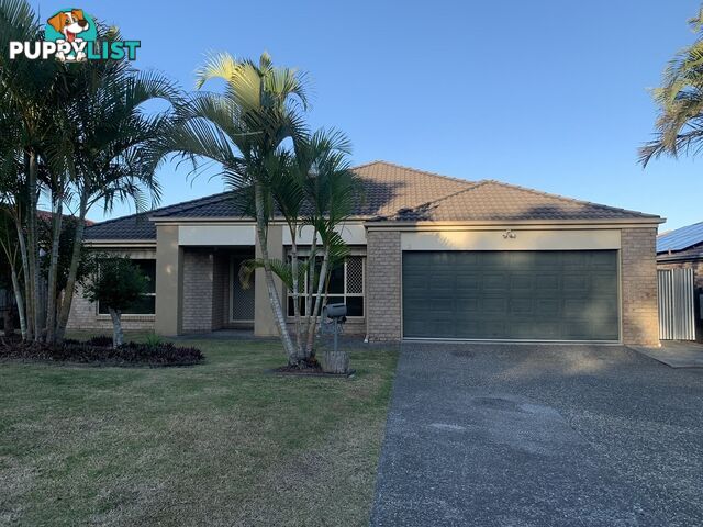 12 Mada Drive Upper Coomera QLD 4209