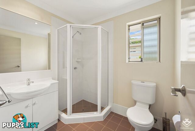 ID:21158116 87 Thorn Street Ipswich QLD 4305
