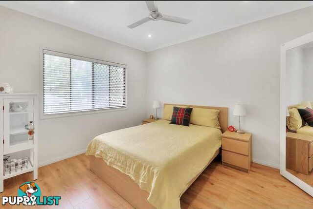 11 Greenpark Street Runcorn QLD 4113