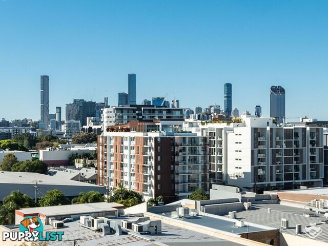 ID:21157551 15 Duncan Street West End QLD 4101