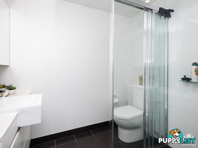 ID:21157551 15 Duncan Street West End QLD 4101