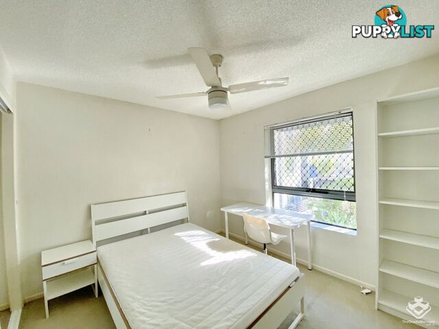 ID:21153447 7 Landsborough Terrace Toowong QLD 4066