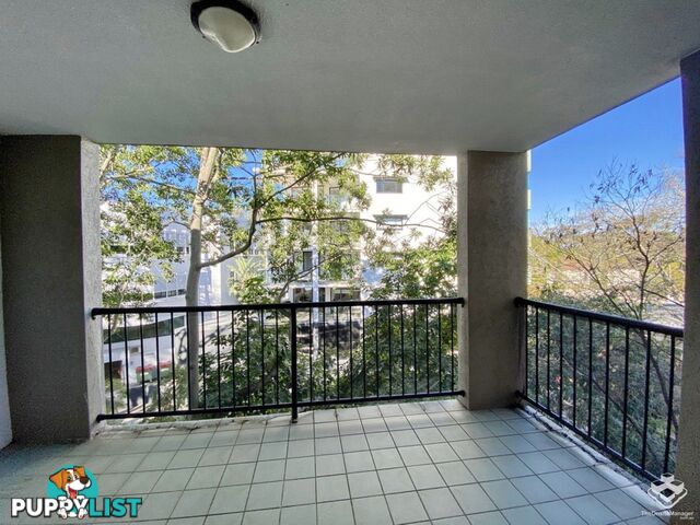 ID:21153447 7 Landsborough Terrace Toowong QLD 4066