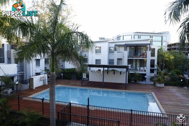 ID:21153447 7 Landsborough Terrace Toowong QLD 4066
