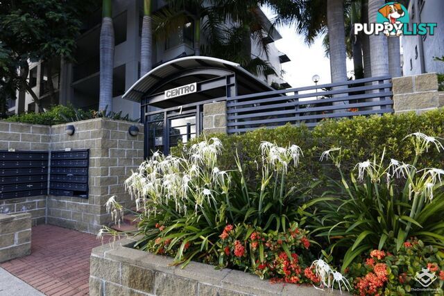 ID:21153447 7 Landsborough Terrace Toowong QLD 4066