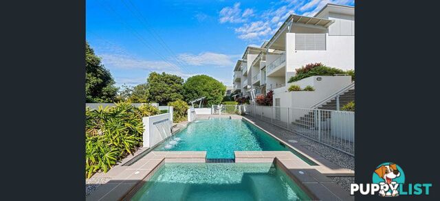 ID:21155516 279 Moggill Road Indooroopilly QLD 4068