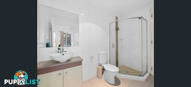 ID:21155516 279 Moggill Road Indooroopilly QLD 4068