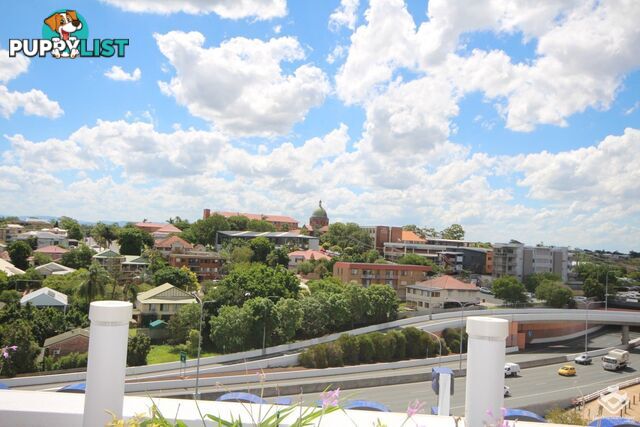 ID:21136549 43 Union Street Nundah QLD 4012