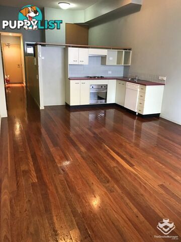 ID:21156870 27 Ballow Street Fortitude Valley QLD 4006