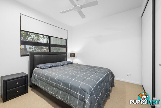ID:21156181 24 The Corso North Lakes QLD 4509