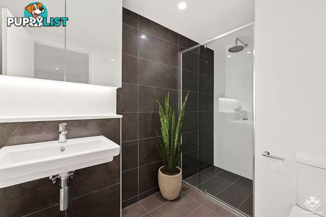 2410/222 Margaret Street Brisbane City QLD 4000