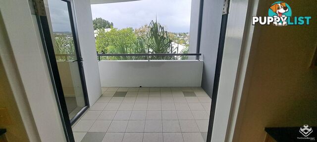 ID:21156024 68-70 Norman Crescent Norman Park QLD 4170