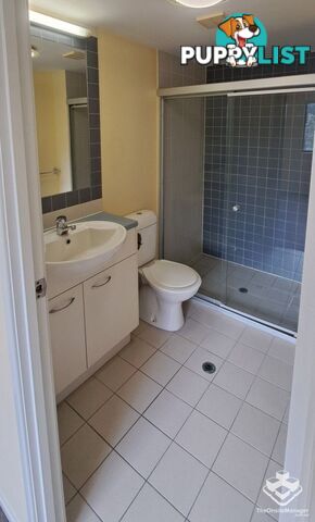 ID:21156024 68-70 Norman Crescent Norman Park QLD 4170