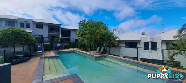 ID:21156024 68-70 Norman Crescent Norman Park QLD 4170