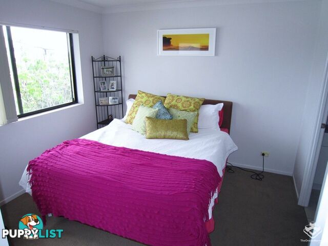 ID:21156024 68-70 Norman Crescent Norman Park QLD 4170