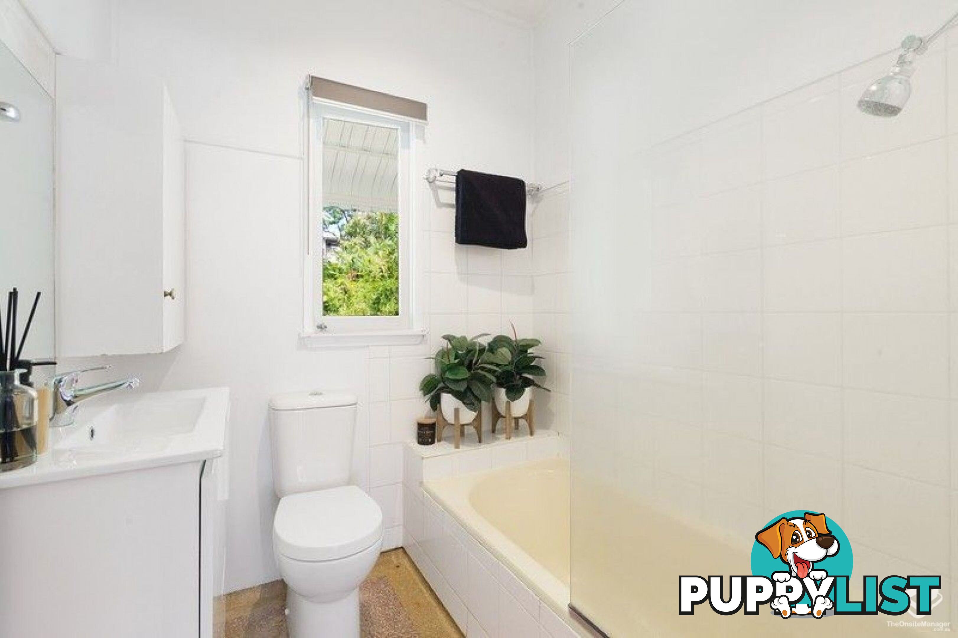 15 Tyne Street Taringa QLD 4068