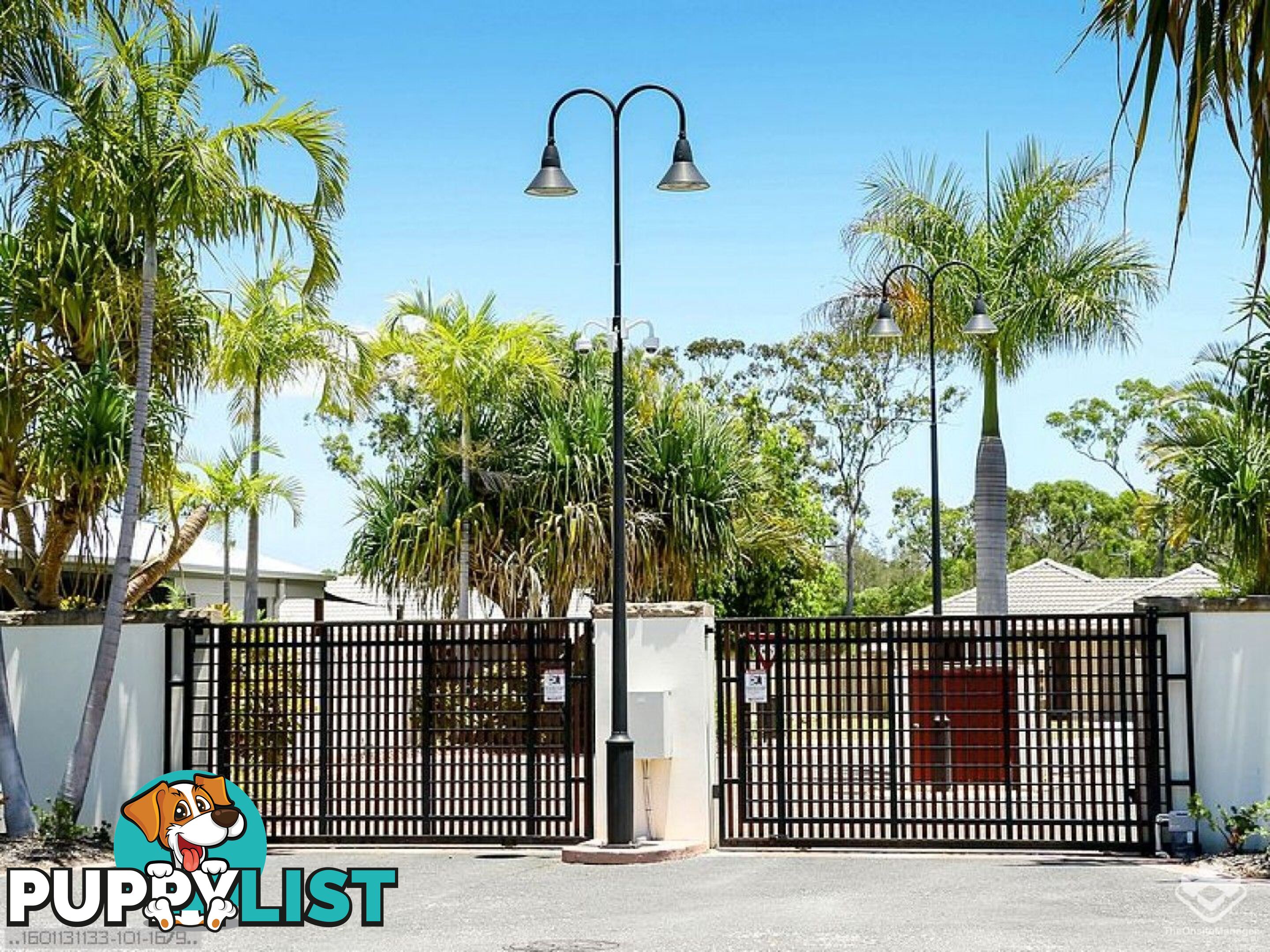 ID:21146309 230 Pulgul Street Urangan QLD 4655