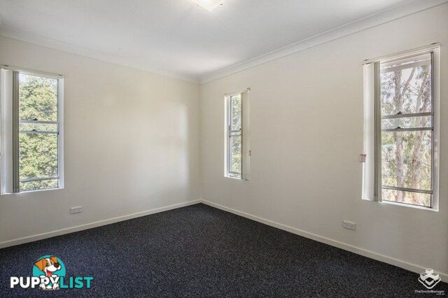 ID:21127740 33 Clark Street Biggera Waters QLD 4216