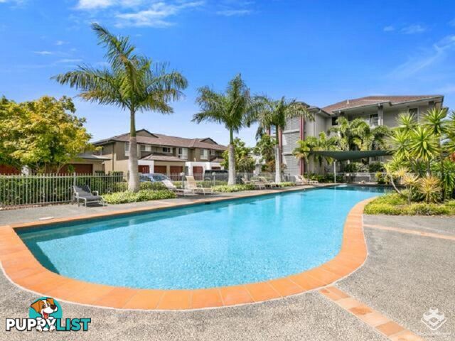 ID:21127740 33 Clark Street Biggera Waters QLD 4216