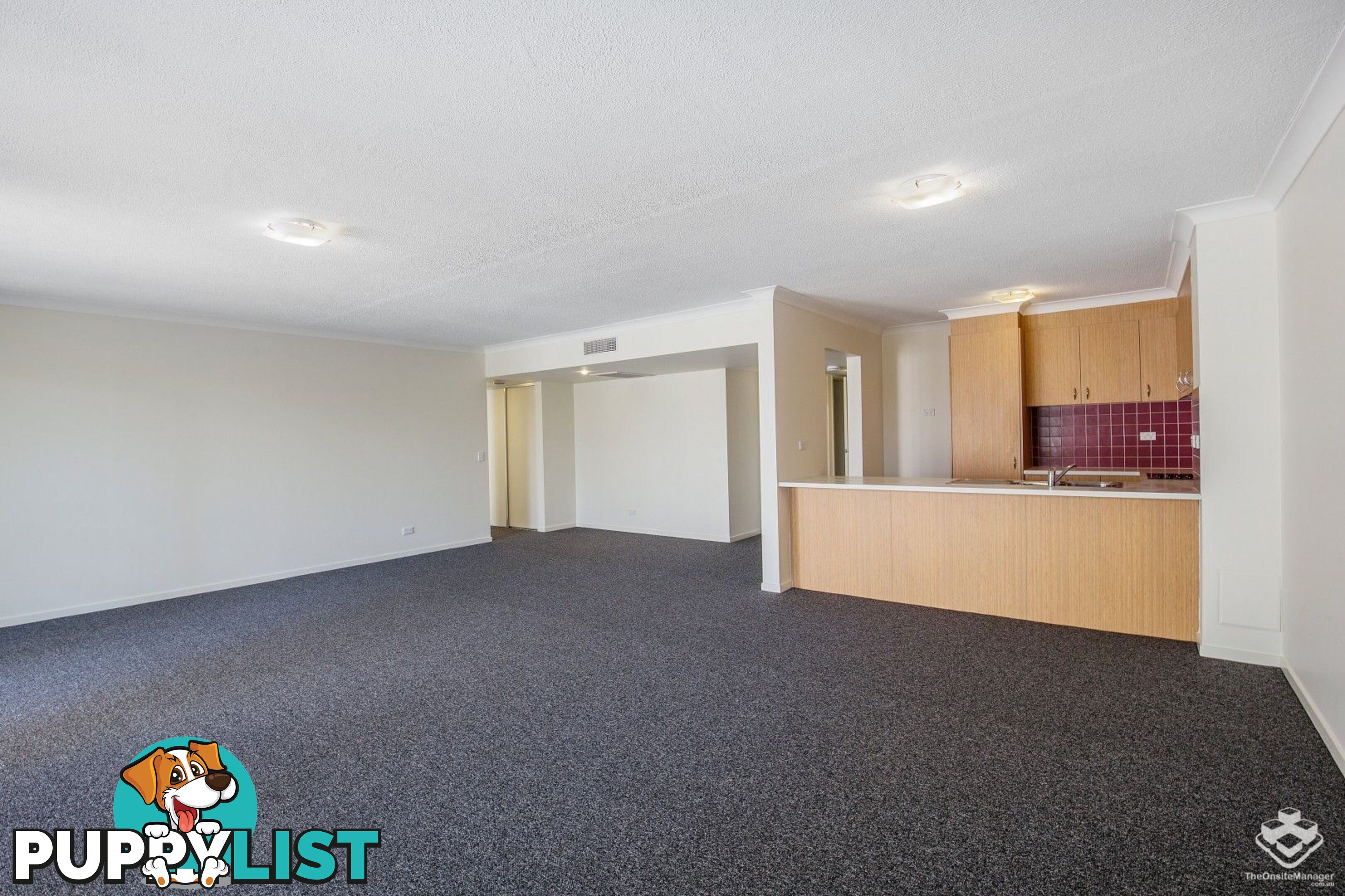 ID:21127740 33 Clark Street Biggera Waters QLD 4216