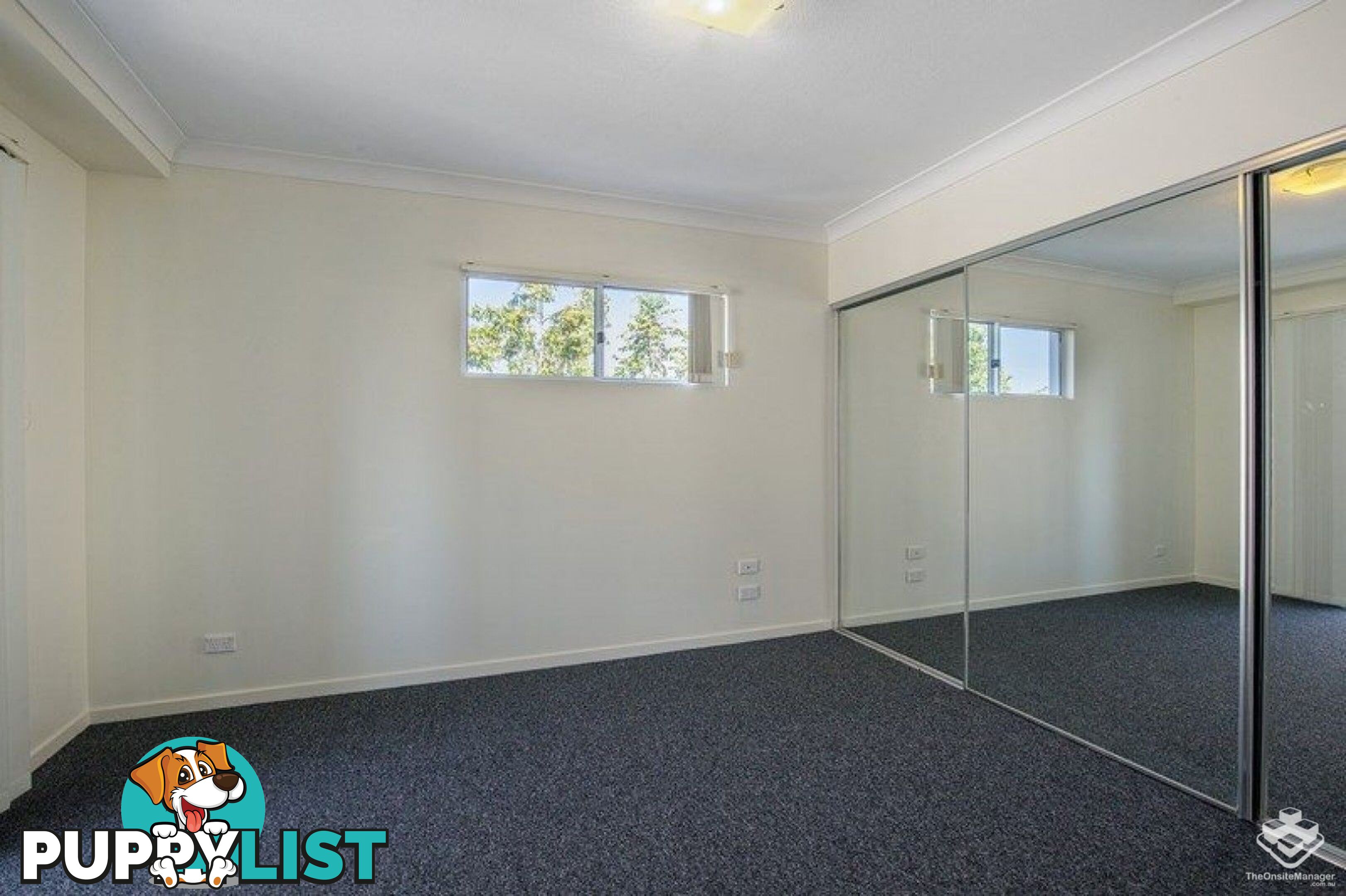 ID:21127740 33 Clark Street Biggera Waters QLD 4216