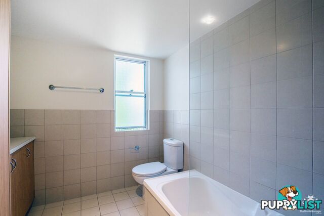 ID:21127740 33 Clark Street Biggera Waters QLD 4216