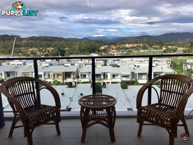 ID:3898212/1-25 Parnell Boulevard Robina QLD 4226