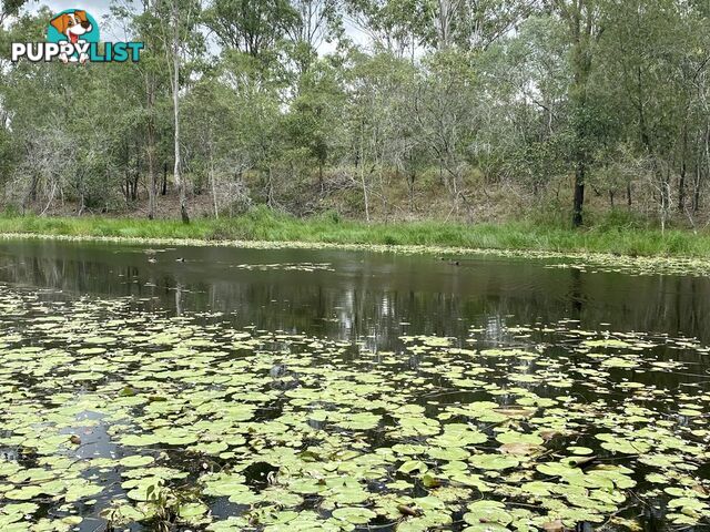 411-421 Edelsten Road Jimboomba QLD 4280