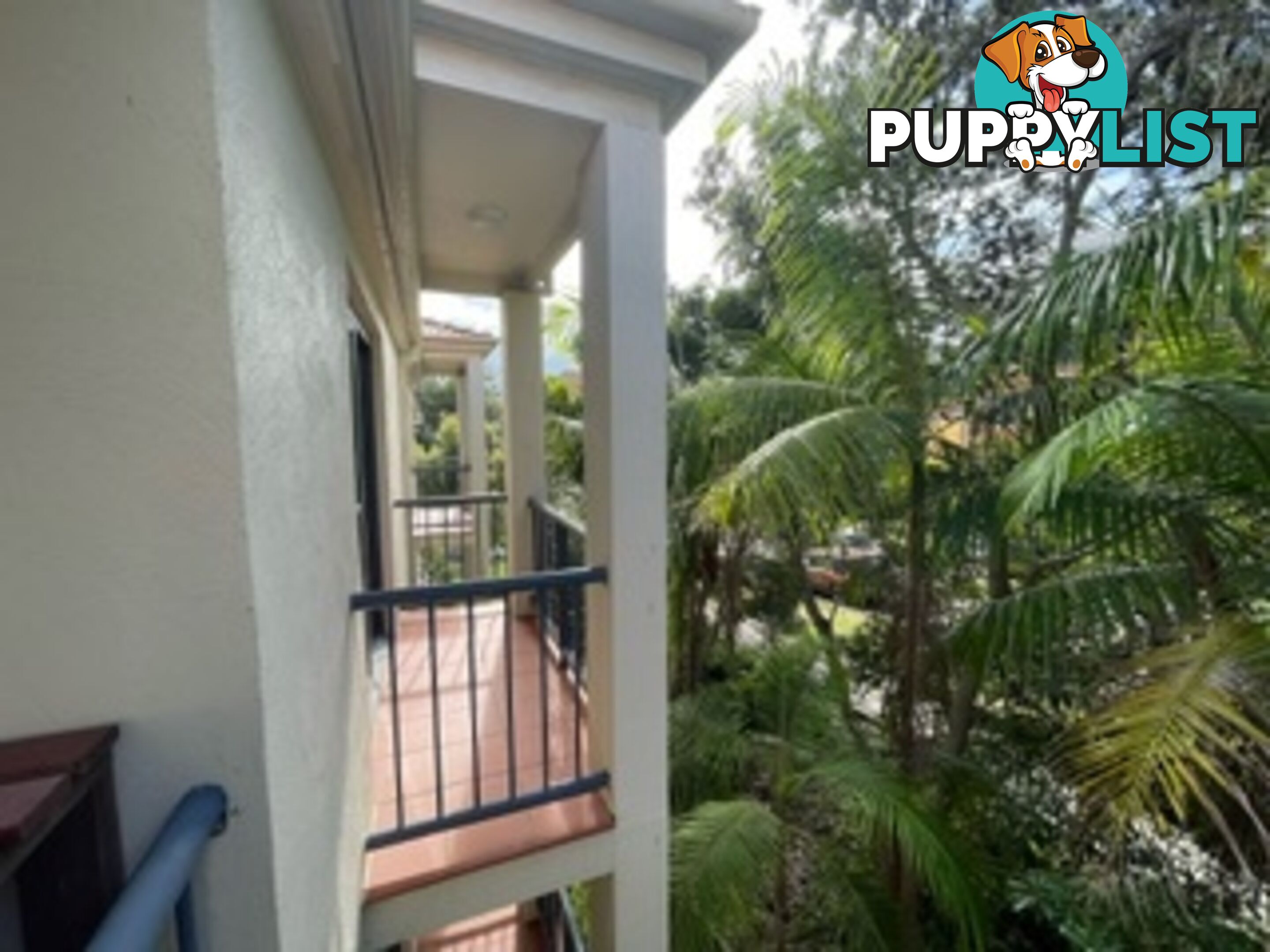 ID:21128274/37 Pacific Drive Port Macquarie NSW 2444