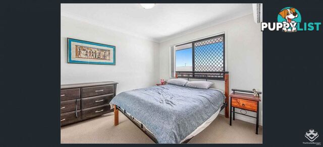 110/160 Bagnall Street Ellen Grove QLD 4078