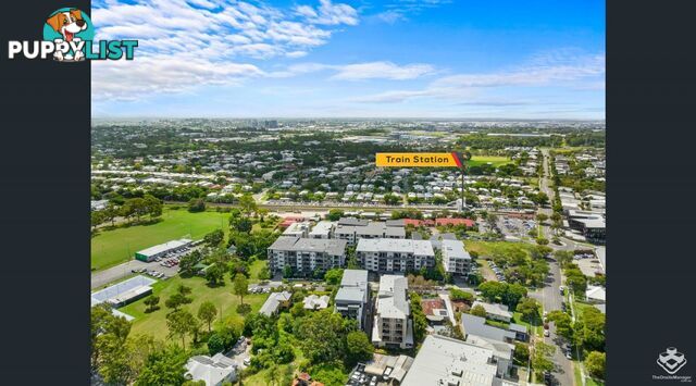 ID:21154250 20 Bombery Cannon Hill QLD 4170