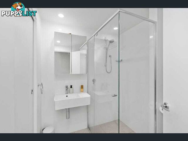 ID:21158657 139ScarboroughSt 139 Scarborough Street Southport QLD 4215