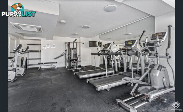 ID:21157194 510 Saint Pauls Terrace Bowen Hills QLD 4006