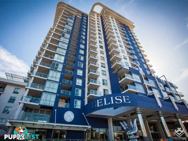 ID:21157194 510 Saint Pauls Terrace Bowen Hills QLD 4006
