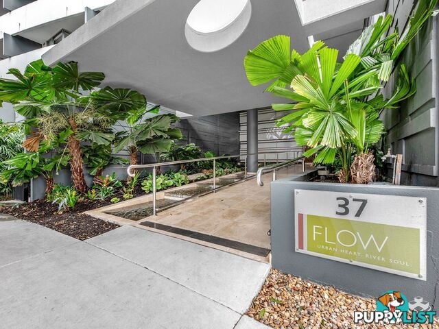 14/37 Duncan ST West End QLD 4101