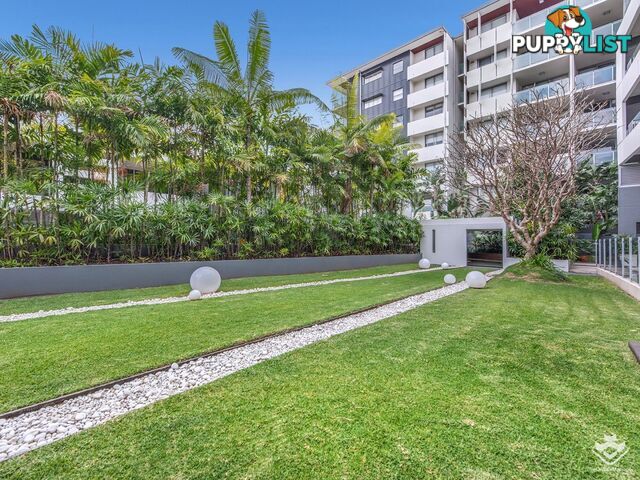 14/37 Duncan ST West End QLD 4101