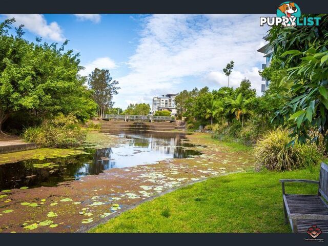 2 Riverwalk Avenue Robina QLD 4226